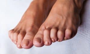 Hammertoe Center twp